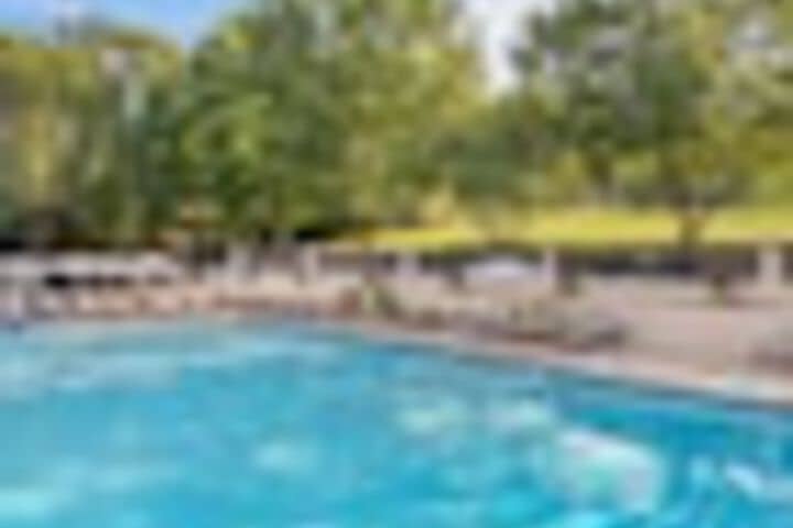 Pool 161 of 387