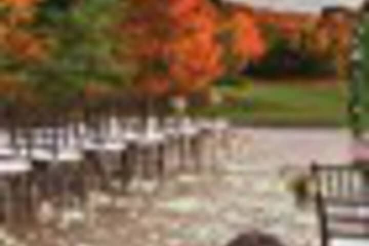 Wedding/Banquet 326 of 387