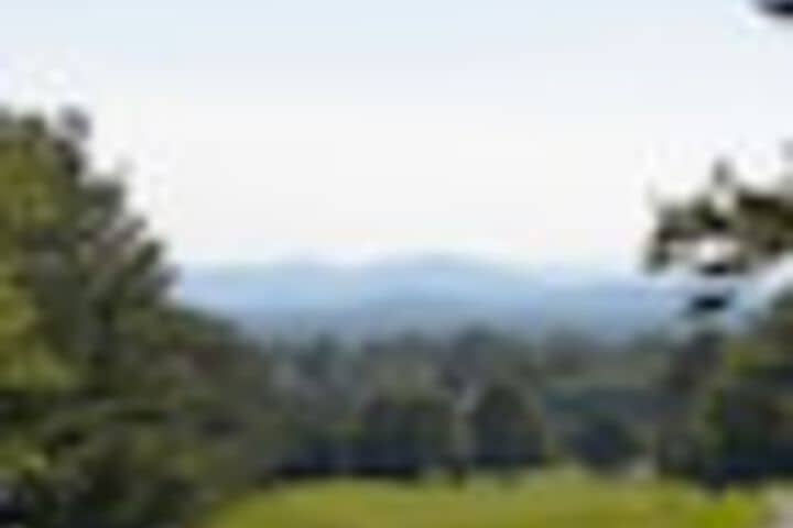Golf 194 of 387